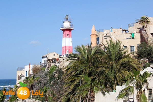 mina2 yaffaj343 (8).JPG